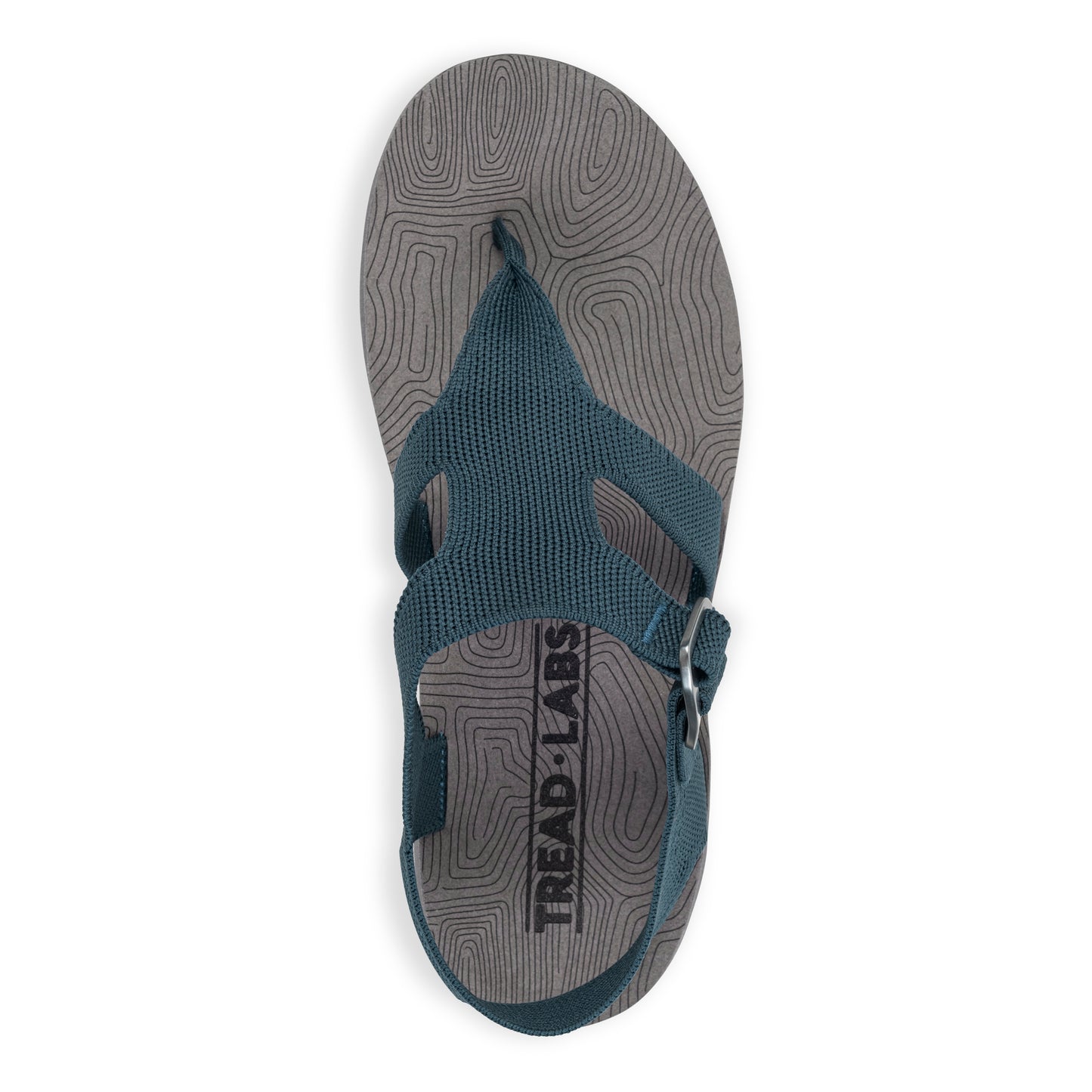 Top View of Men's Albion Sandal in Deep on a white background.