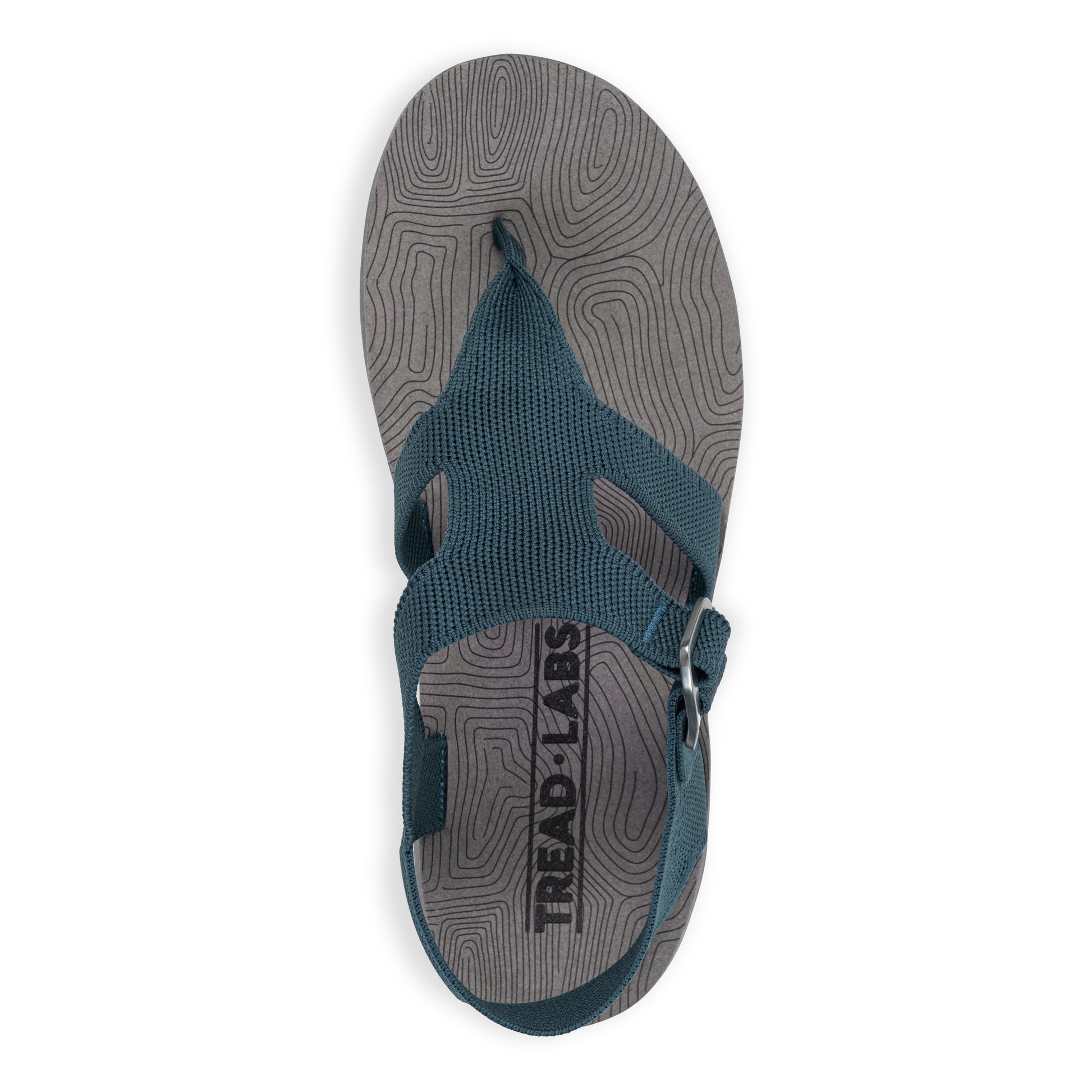 Top View of Men's Albion Sandal in Deep on a white background.